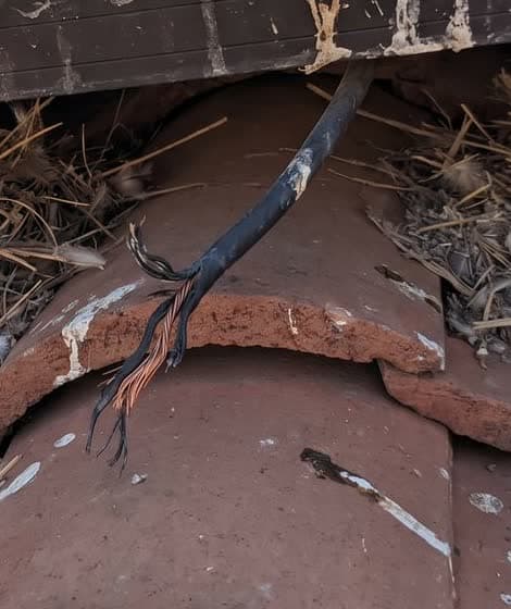 Chewed wires found under a solar array