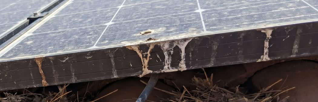 Droppings baked on the panels